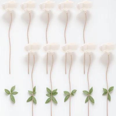 Home Fragrance Aroma Set - 10pcs Rattan Diffuser Sticks Aroma Reed