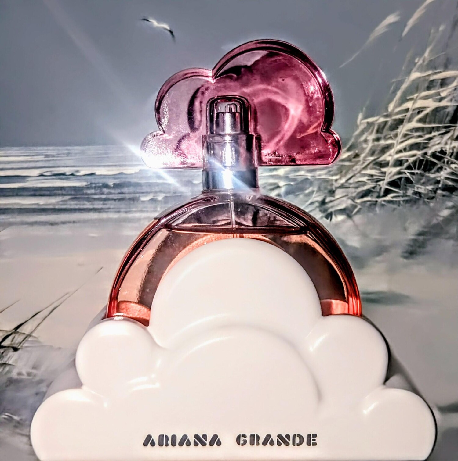 Home Fragrance Vanilla Musk - Ariana Grande Perfume for Women 100ml