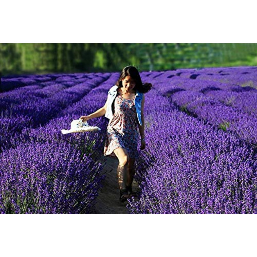 Lavender Sachet Bags, Natural  – Home Fragrance Sachet recenzja i cena