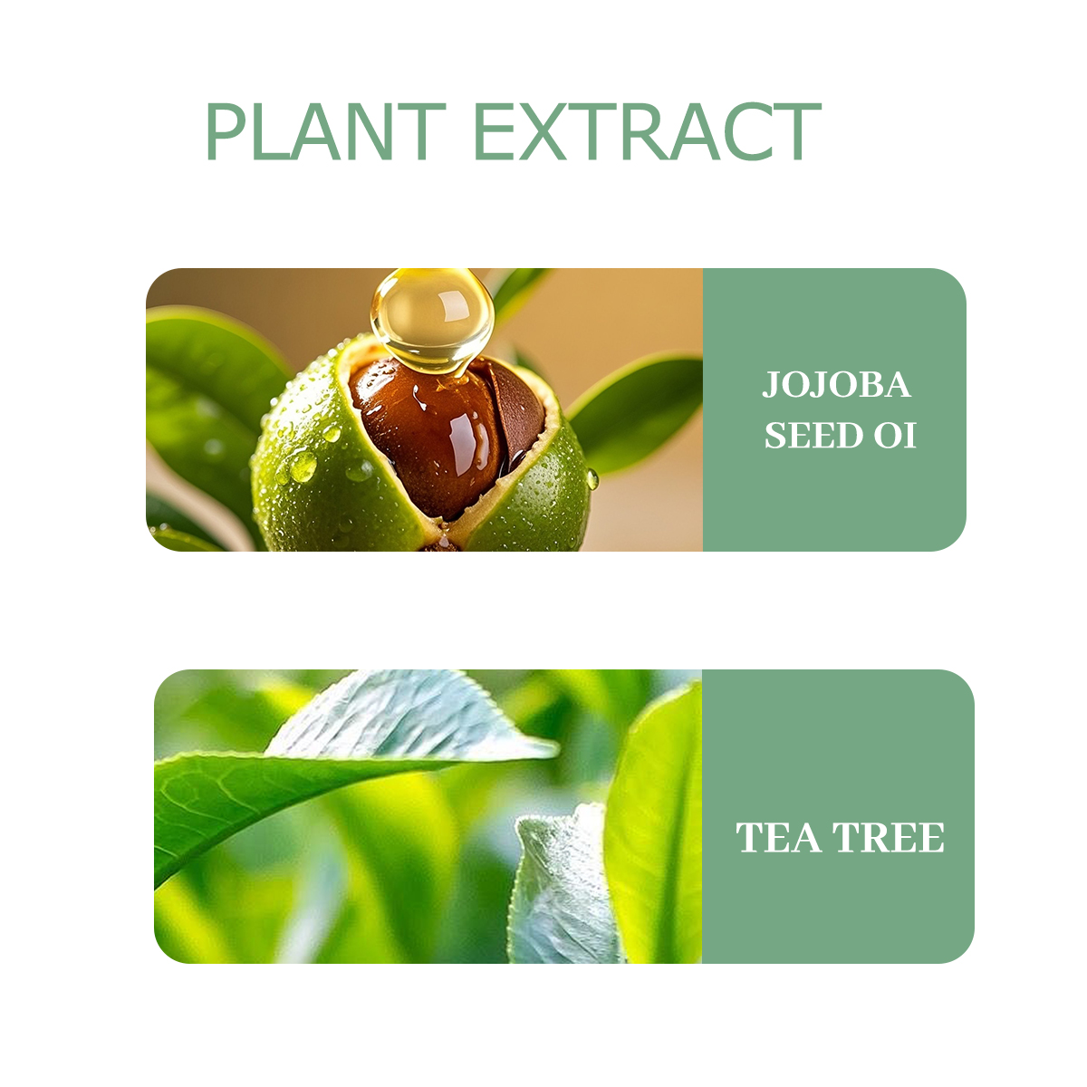 NIVAVIN 30ml/60ml/100ml Tea Tr – Home Fragrance Co recenzja i cena