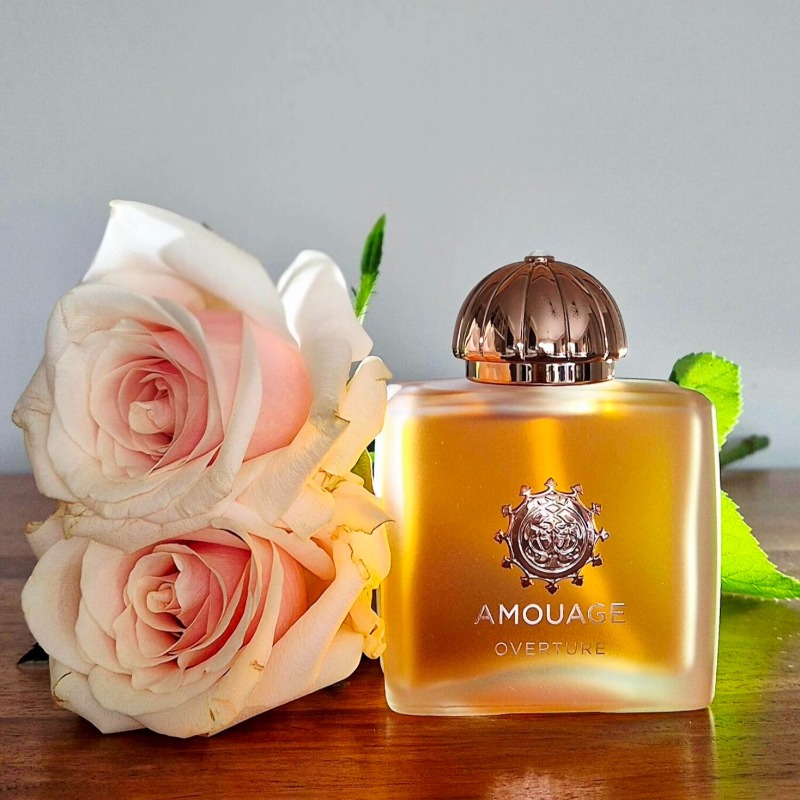 AMOUAGE Luxury Women Perfume 1 – Home Fragrance Vanilla Musk recenzja i cena