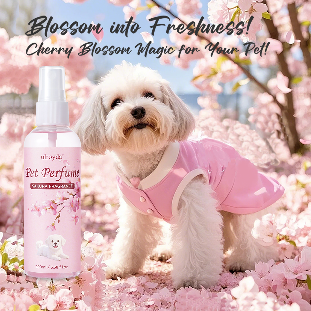 Sakura Pet Perfume Spray Long  – Home Fragrance Mist recenzja i cena
